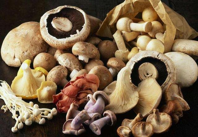 Mushrooms a super energy booster and sickness fighter