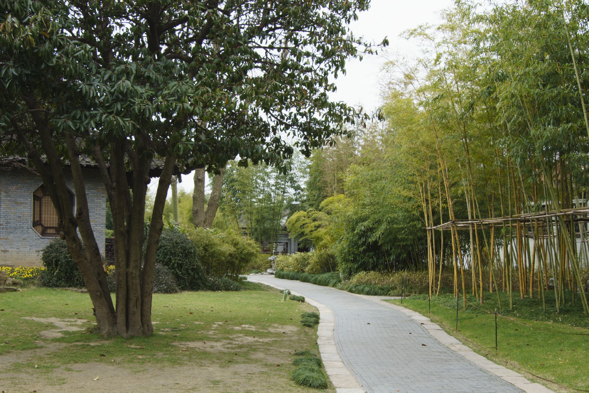 1682649643166468.jpg qj6205113574.jpg