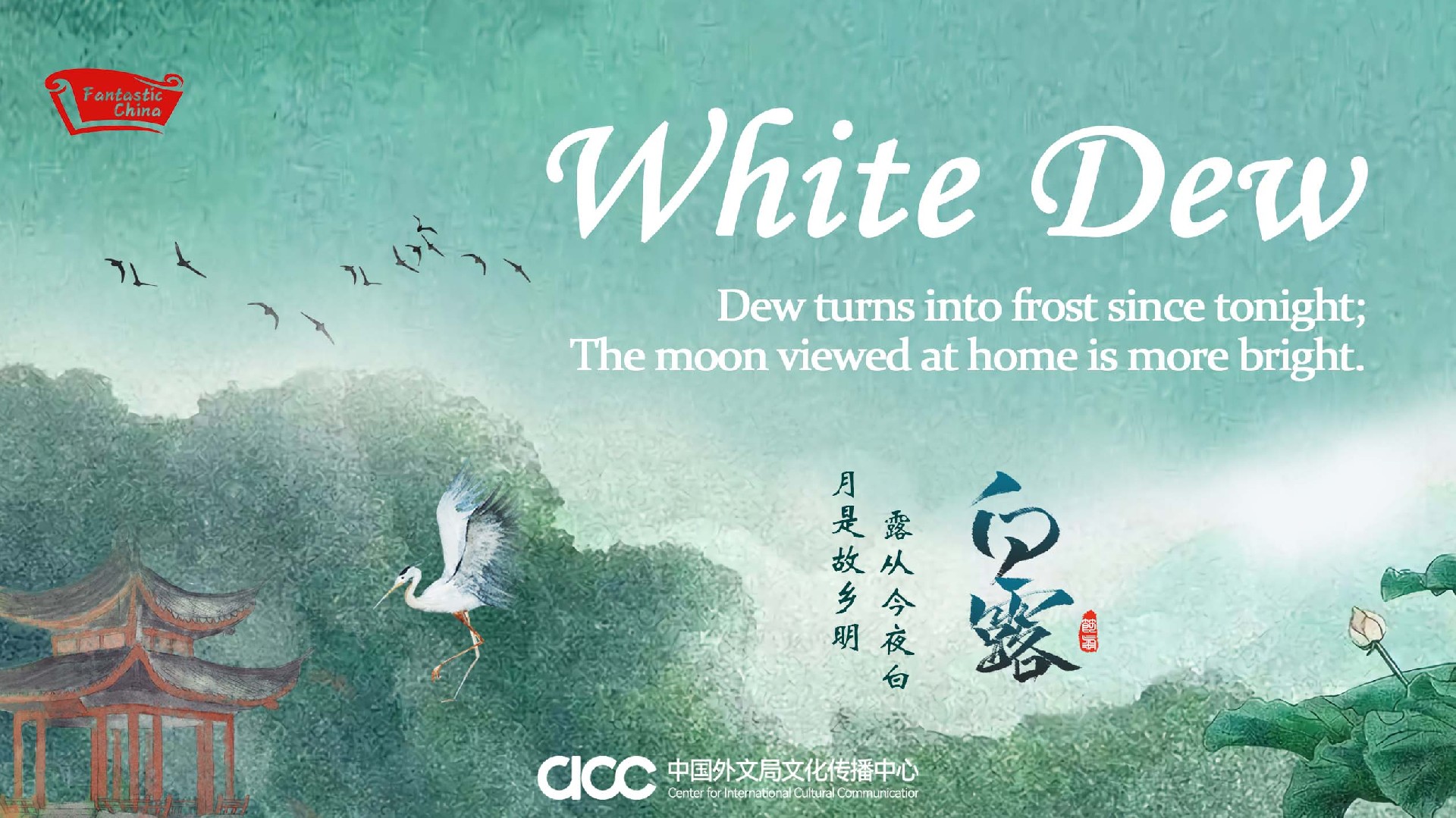 12.17 白露海报 C.jpg