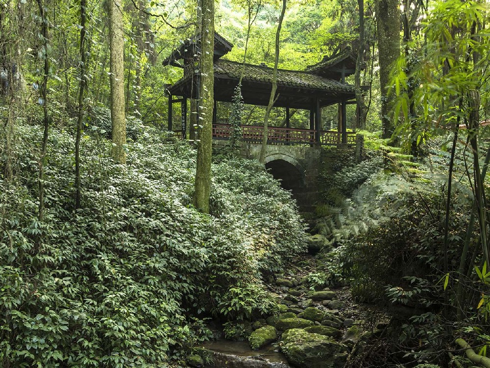 1716192771127509.jpg 1-虎啸桥.jpg