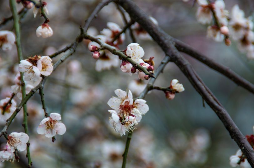 1672735947515100.jpg 322499882_880181309996498_9205696033999508427_n.jpg