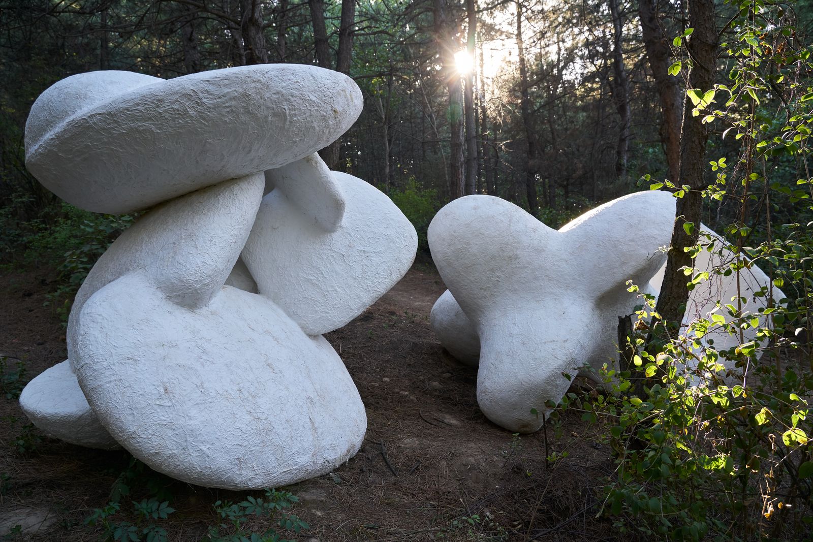 Su Chang, Intersect (2023). Plaster, aluminate, hemp and other mixed materials. Dimensions variable. Commissioned and produced by Aranya Plein Air Art Project 2023. Exhibition view Aranya Plein Air Art Project