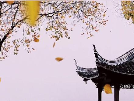 1710919301181402.jpeg b795f932ff8ca2a88784e2357cbfaca5~tplv-dy-resize-origshort-autoq-75_330.jpeg